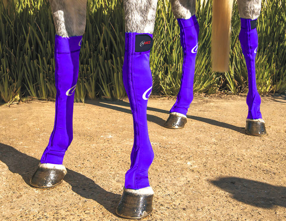 Hidez Equine Compression Socks (single thickness) - Purple