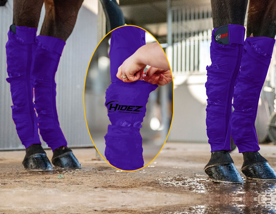 Hidez Equine Seamless Ice Compression Socks (3 pocket double thickness) - Purple