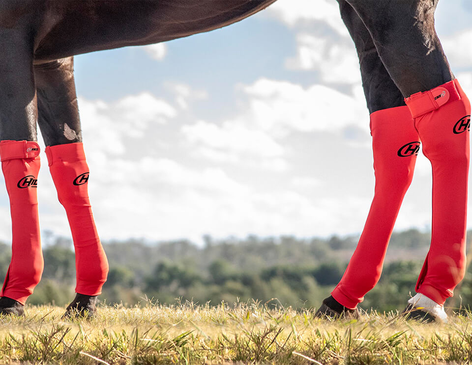 Hidez Equine Seamless Compression Socks (double thickness) - Red