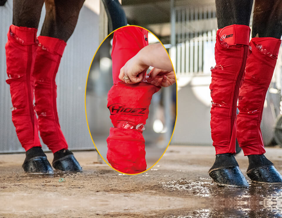 Hidez Equine Seamless Ice Compression Socks (3 pocket double thickness) - Red