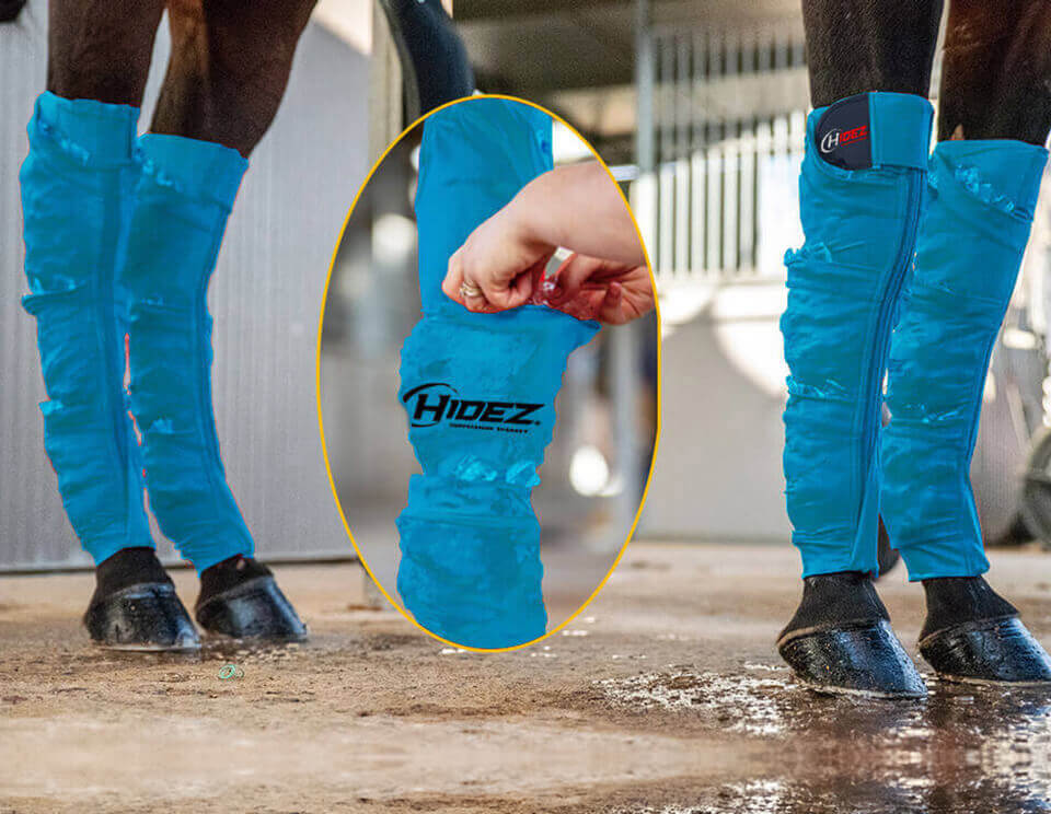 Hidez Equine Seamless Ice Compression Socks (3 pocket double thickness) - Turquoise