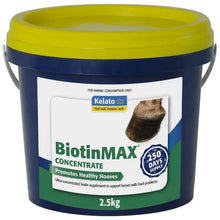 Load image into Gallery viewer, Kelato BiotinMax Concentrate
