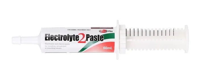 Valueplus Electrolyte 2 Paste 60mL